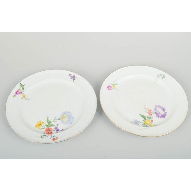 Meissen, two plates, hand-painted. Two elegant porcelain plates with hand-painted floral decorations in classic Meissen...