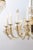 1960s 16-Light Amber Venetian Glass Chandelier, Italy For Sale - Image 16 of 18