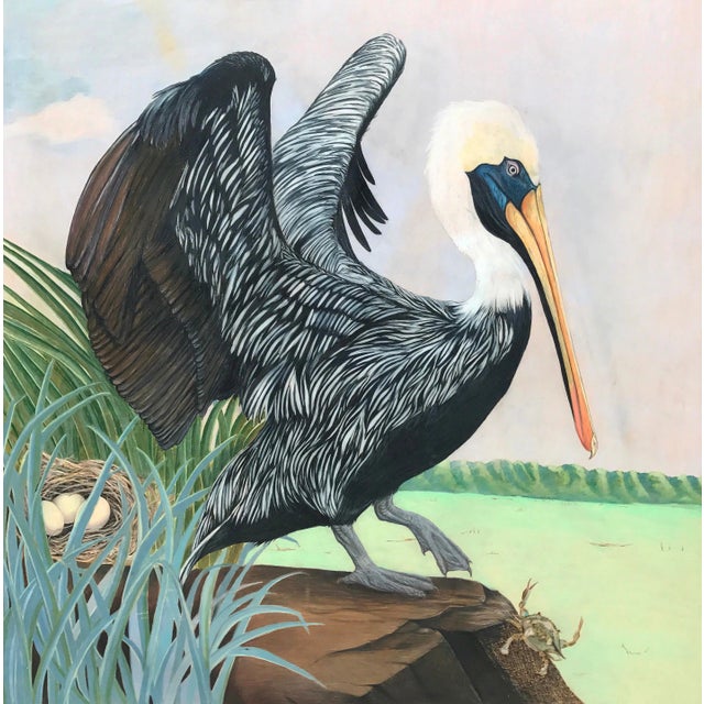 Pelican by Natalie Erwin, Limited Edition Wood Print (48x48) For Sale