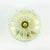 Glashütte Limburg 1970s Mid Century Modern Large Floral Glass & Brass Ceiling Light/Flush Mount From Limburg, Germany For Sale - Image 4 of 12