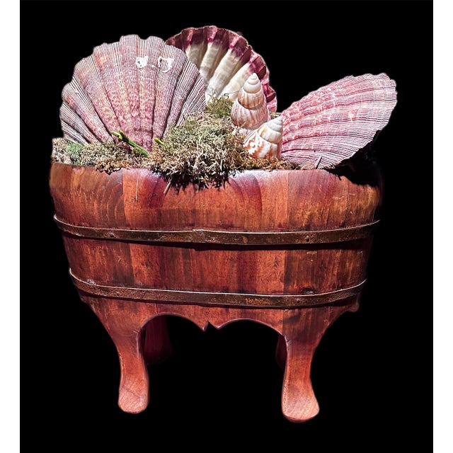 50s Chinese Wood Foot Tub Shell Collection Vase Natural Bowl Asian Chinoserie Vintage For Sale - Image 11 of 18