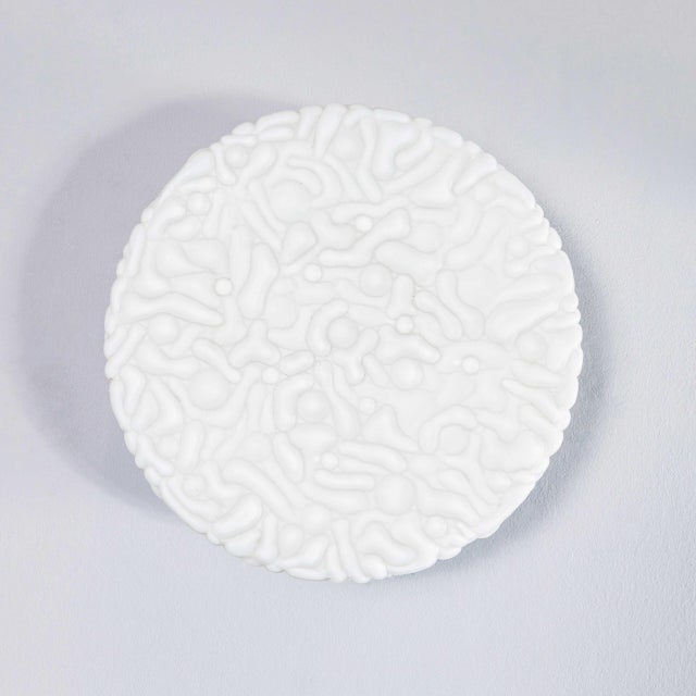 Vintage Czech Opaline Organic Wall Lamp, 1950s For Sale - Image 11 of 11