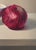 Two Red Onions by Sarah van der Helm | Oil on Panel Still life of two red onions and a bowl. For Sale - Image 4 of 5