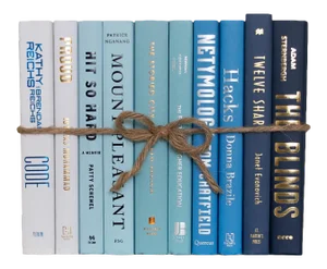 Decorative Books - Waterfall Book Bundle - 1 Foot of Blue Books