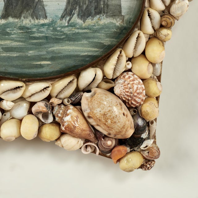 Beige Antique Star Form Sailors Valentine For Sale - Image 8 of 8