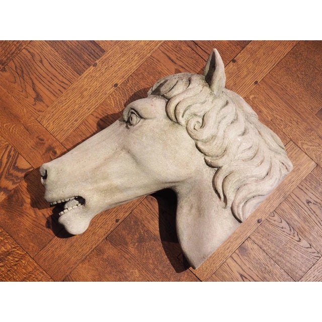 Carved Limestone Horsehead From Italy For Sale - Image 13 of 13