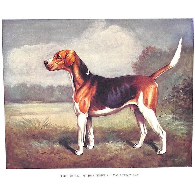 "Good Sport With Famous Packs 1885-1910" Bradley, Cuthbert For Sale - Image 9 of 10