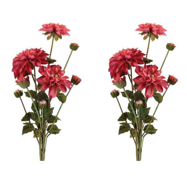 Rustic Dahlia Flower Bundle (Set of 2) For Sale - Image 3 of 3