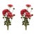 Rustic Dahlia Flower Bundle (Set of 2) For Sale - Image 3 of 3