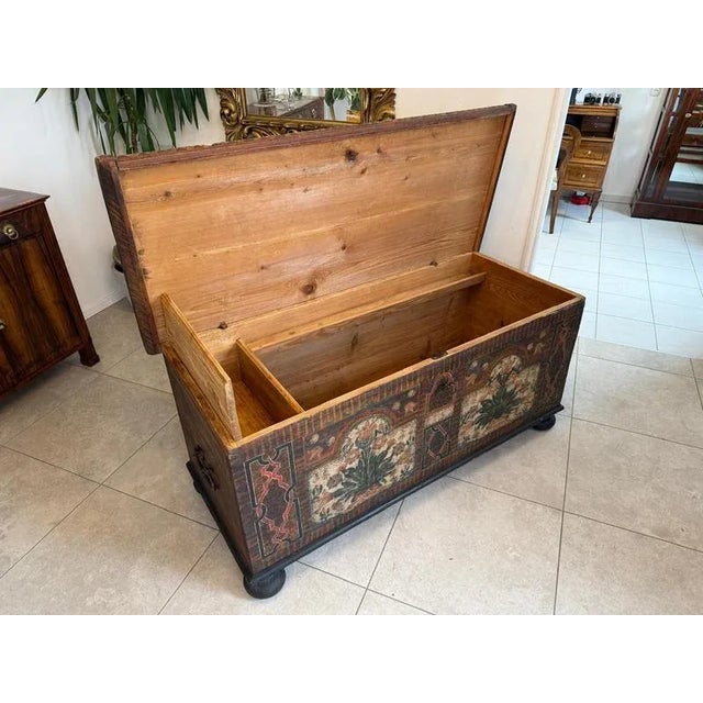 Tyrolean Rustic Hand-Painted Chest For Sale - Image 11 of 18