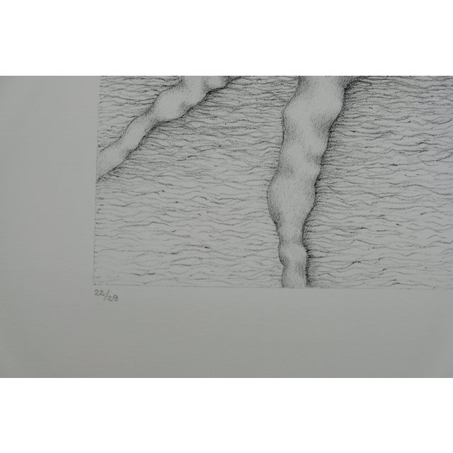 Gochka Charewicz, Tronc et racines, Lithograph For Sale - Image 6 of 8