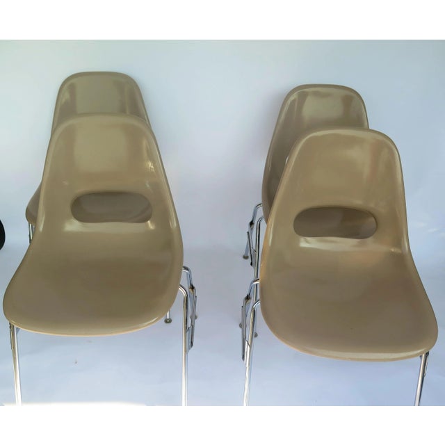 Mid-Century Modern 1980s Herman Miller-Style Fiberglass Shell Chairs- Set of 4 For Sale - Image 3 of 4
