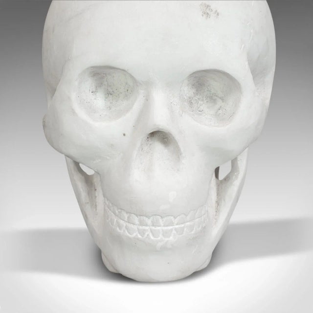 White 20th Century Marble Carved Decorative Skull For Sale - Image 8 of 11