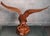 Brown Large Golden Eagle Sculpture, 2000s, Wood For Sale - Image 8 of 18