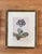 1960s Gilded Black and Gold Gilt Framed Purple Botanical Flower Prints - Set of 2 For Sale - Image 4 of 6
