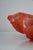 Vintage Sculptural Resin Shell Wall Sconce, 1970s For Sale - Image 11 of 18