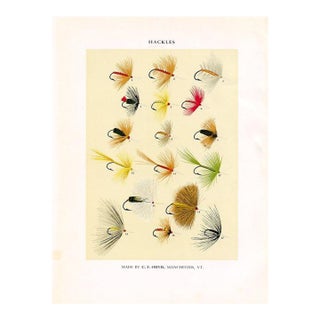 Vintage Hackles Fishing Flies Print by Charles Orvis, Original Vintage Fishing Print, Lithograph For Sale