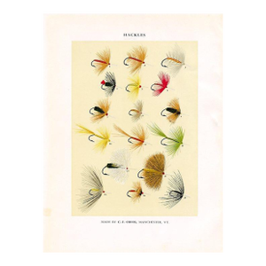 Vintage Hackles Fishing Flies Print by Charles Orvis, Original Vintage Fishing Print, Lithograph