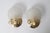 Shell Wall Lamps from Deknudt, Belgium, 1980s, Set of 2 For Sale - Image 13 of 15