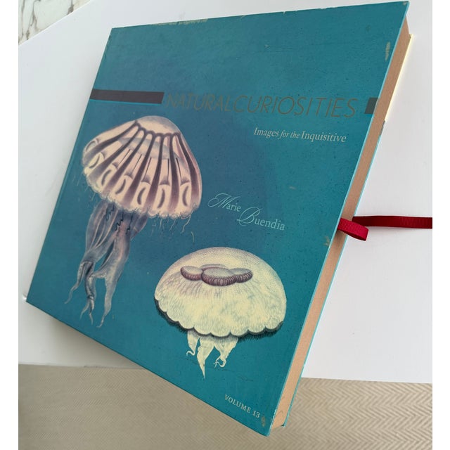 Collectors Book/album – Volume 13 of a series titled Natural Curiosities: Images for the Inquisitive by Marie Buendia....