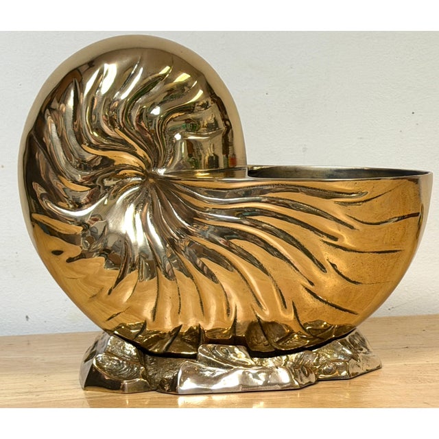 Large Polished Brass Nautilus Shell Vase by Sarreid, Spain, Circa 1970s For Sale - Image 13 of 14
