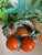 Spanish Trompe-Loeil Clementine Ceramic Pitcher, 1960 For Sale - Image 4 of 9