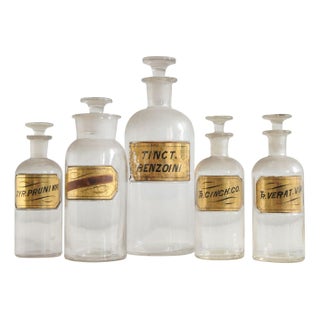 19th Century Apothecary Jars - Set of 5 For Sale
