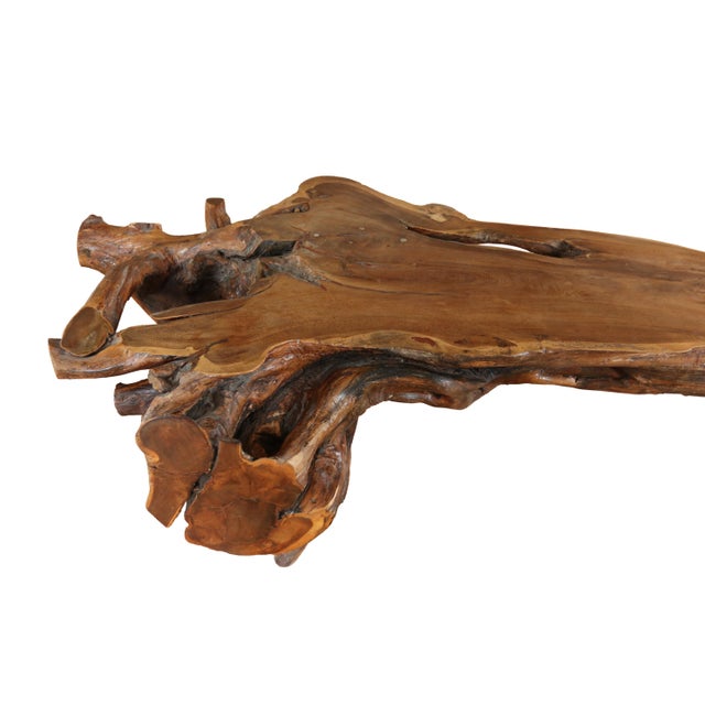 Large Sculptural Rootwood Coffee Table, 1970s For Sale - Image 10 of 16