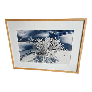 Evelyn Lauder Photograph Artist Proof Edition of 10 For Sale