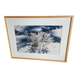 Evelyn Lauder Photograph Artist Proof Edition of 10