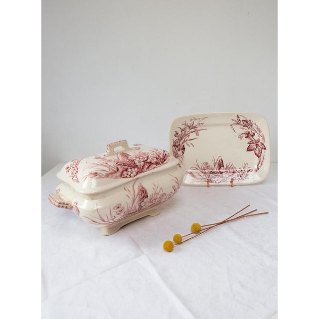 Francis & Co. 1850-1880. Primrose design. 33,5*20*20 cm tureen; 31*22*3 cm dish