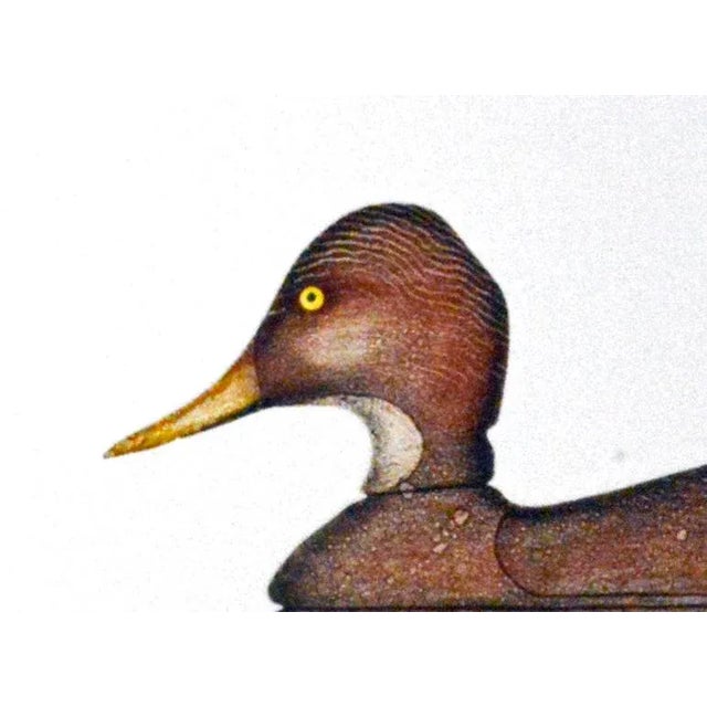1970s Arthur Nevin Duck Decoy Print, Mallard Hen Decoy, Bay Head, New Jersey, Signed Color Etching, Framed For Sale - Image 5 of 6