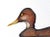 1970s Arthur Nevin Duck Decoy Print, Mallard Hen Decoy, Bay Head, New Jersey, Signed Color Etching, Framed For Sale - Image 5 of 6