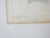 Paper Mid 19th Century Us Pacifc Railroad Fish Lithograph Book Plate - A Pair For Sale - Image 7 of 7