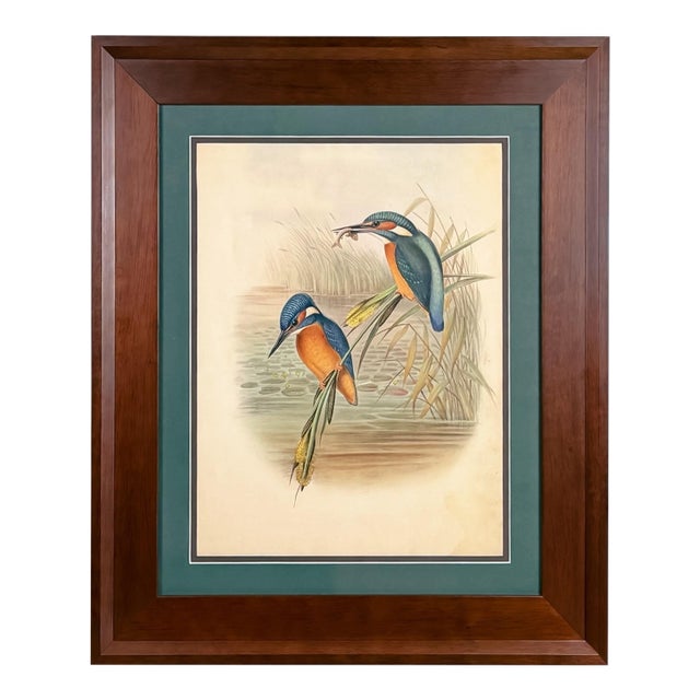 19th-Century John Gould Kingfisher Bird Lithograph | Original Hand-Colored Natural History Print For Sale