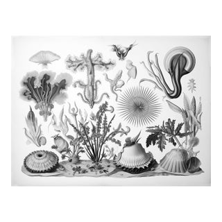 # 24" X 18" Original Black and White Fine Art Seascape Print, Unframed For Sale