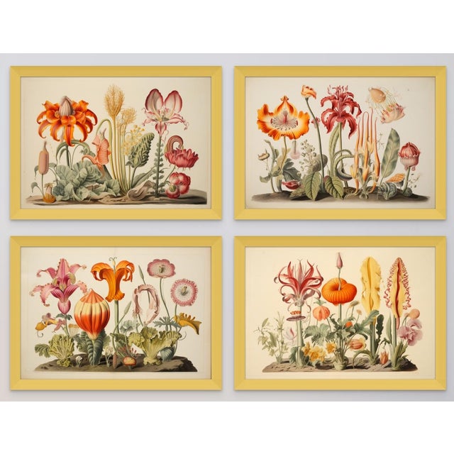 Wood Set of 4 - 20' X 13.9' Framed Botanical Prints 'Hortus Floridus' Style Flowers #8 For Sale - Image 7 of 8