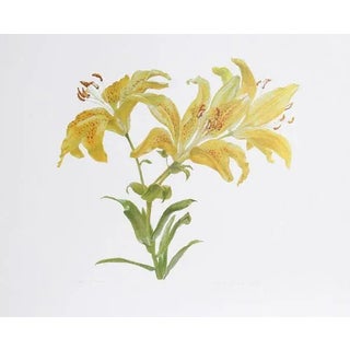 1970s "Tiger Lily" Lithograph by Carol Ann Bolt For Sale