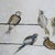 Illustration Framed Bird Drawing on Wires For Sale - Image 3 of 6