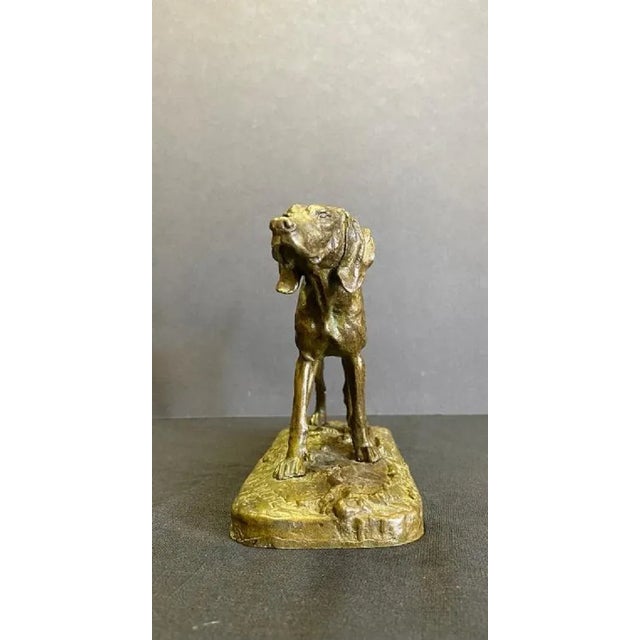 Early 19th Century Bronze Dog Statue by P J Mene For Sale - Image 5 of 12