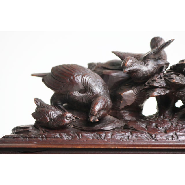19th Century Antique 19th Century Swiss Black Forest Jelwery Box with Birds, 1880 For Sale - Image 5 of 10