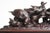 19th Century Antique 19th Century Swiss Black Forest Jelwery Box with Birds, 1880 For Sale - Image 5 of 10