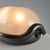 Model Noce Lamp by Achille Castiglioni for Flos For Sale - Image 3 of 10