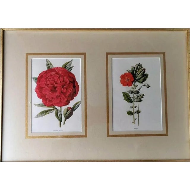 English Artist, Flowers, Chromolithographic Print Diptych, 1900, Framed For Sale - Image 6 of 13
