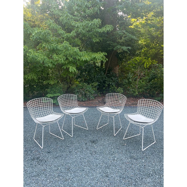 Harry Bertoia A Set of Four Wire Chairs by Harry Bertoia for Knoll International, Circa 1970 For Sale - Image 4 of 18