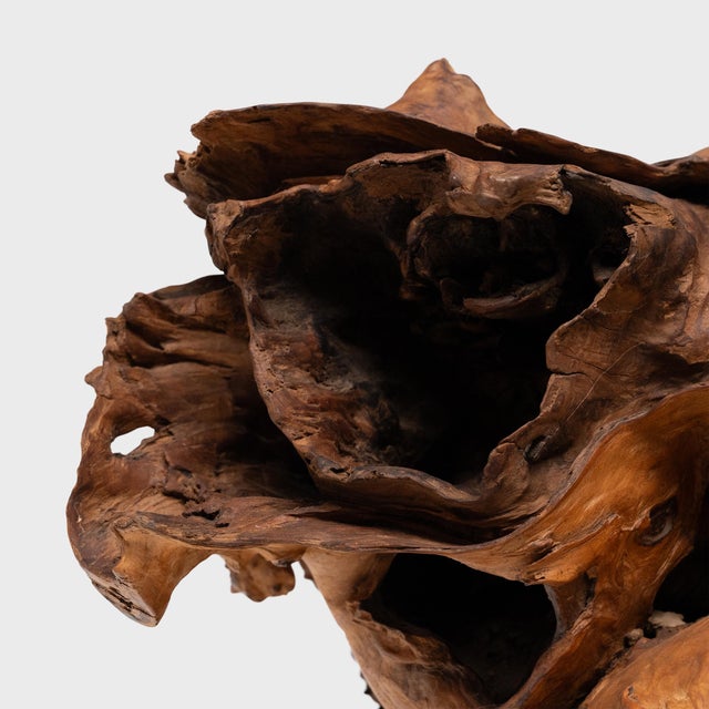 2020s Heartwood Grotto Burl Sculpture For Sale - Image 5 of 5