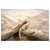 Early 21st Century Turkish Donegal Wool & Hemp 13x18 Ivory, Tan & Rust Handmade Oversized Area Rug #1140073 For Sale - Image 5 of 6
