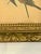 Gold Early 20th Century Framed J. Gould Bird Prints in Ornate Gilt Frames - a Pair For Sale - Image 8 of 18