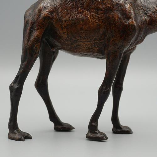 Brown Franz Bergman, Dromedary, 1890s, Bronze For Sale - Image 8 of 10