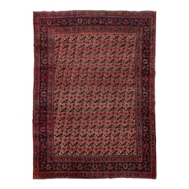 Example of Area Rugs